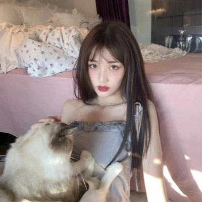 狗的生涯
